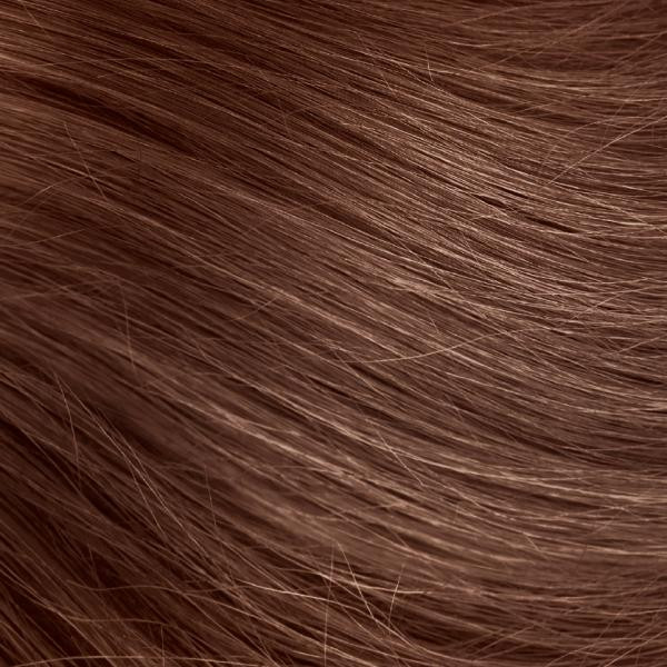 Andiamo 7NT - Fortuna at the forum