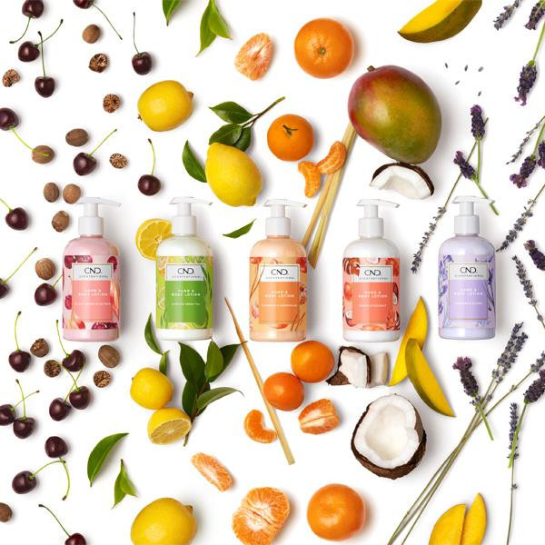 Citrus & Green Tea 8.3 oz