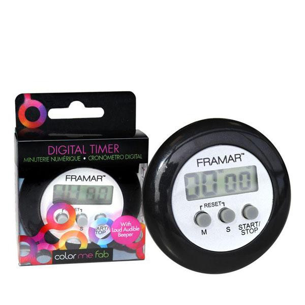 Digital Timer