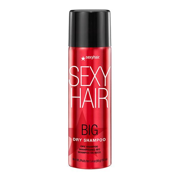 Dry Shampoo 3.4oz