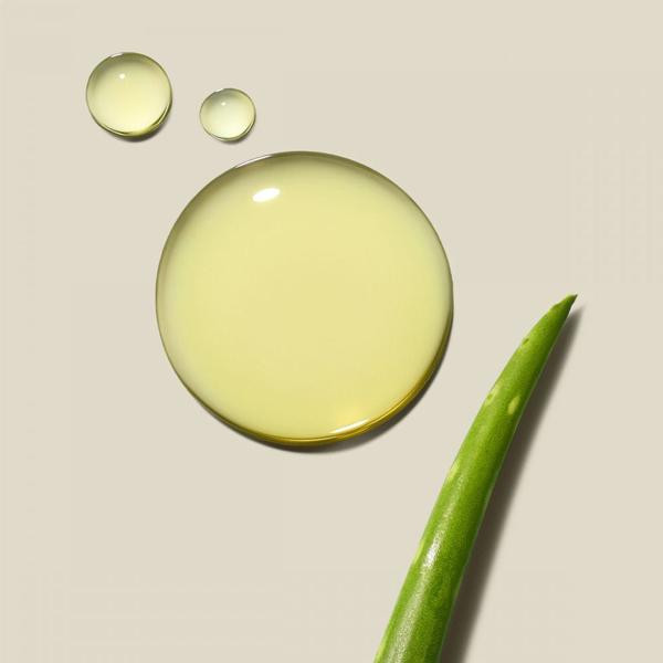 Everyday - Leave-in Treatment 5.1oz