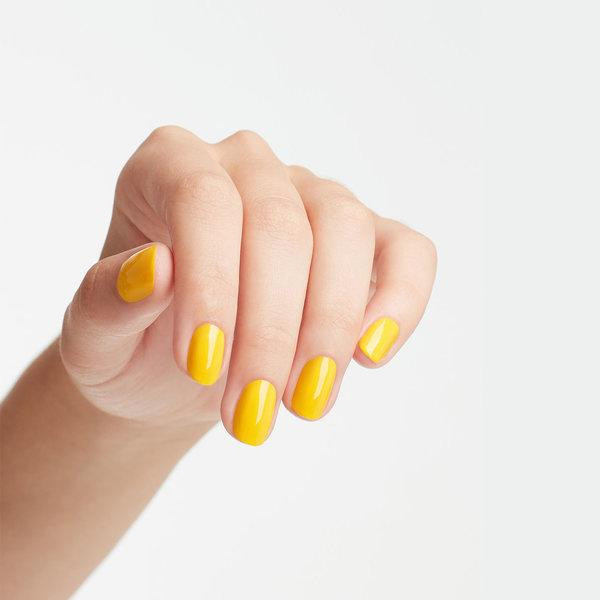 Exotic Birds Do Not Tweet - Gel