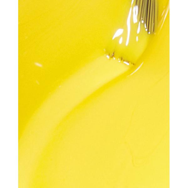 Exotic Birds Do Not Tweet