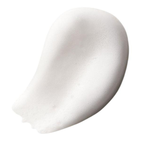 Fiber Grooming Foam 6.7oz