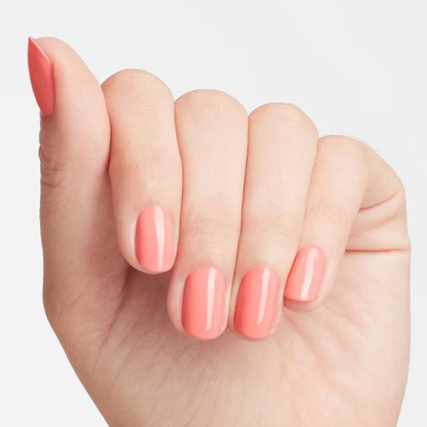 Got Myself Into A Jam-Balaya