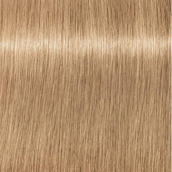 Lift & Blend - Biscuit