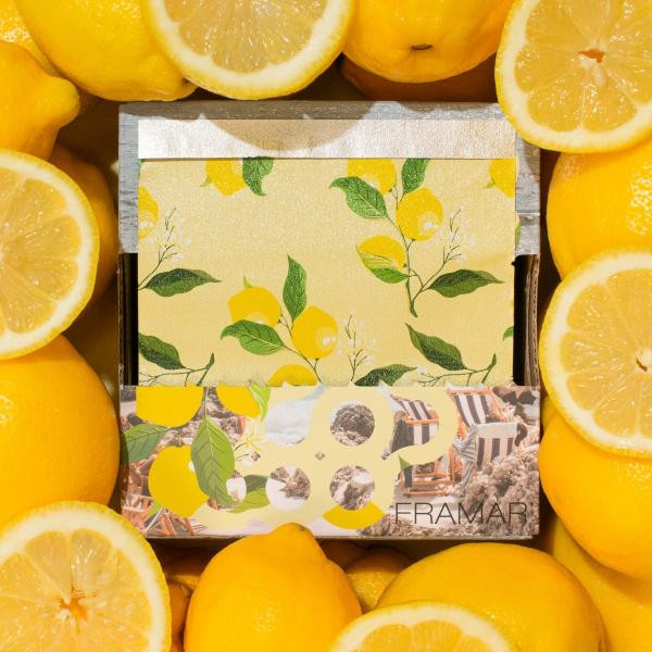 Limoncello - Pop Up - 500 Sheets