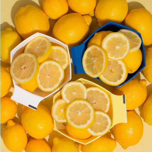 Limoncello - Write'N'Wipe - 3/pack