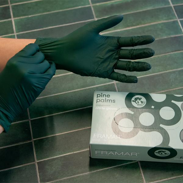 Pine Palms - Nitrile - Large - 100/case