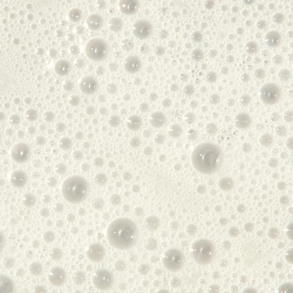 Scalp Care - Shampoo 10.1oz