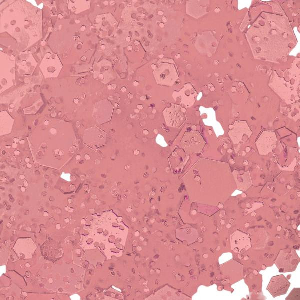 Servin' Pink - Infinite Shine