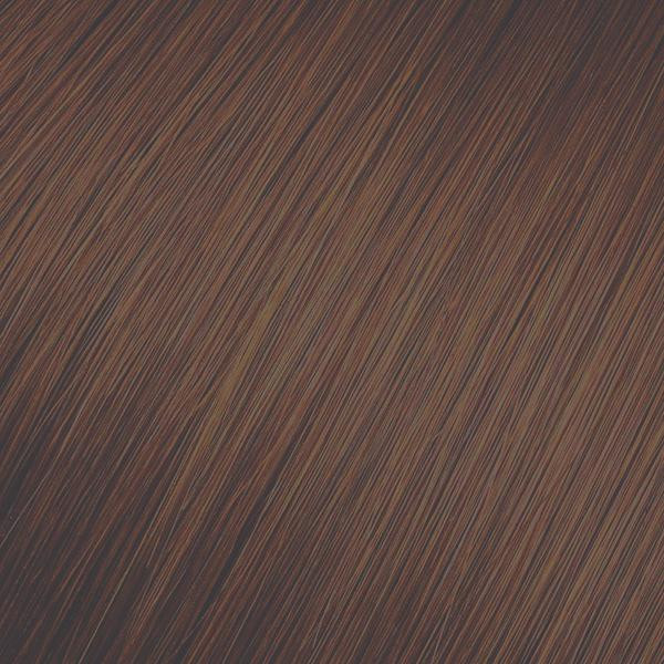 Studio Stylist Express - 5G