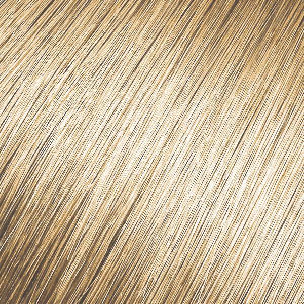 Studio Stylist Express - 9G