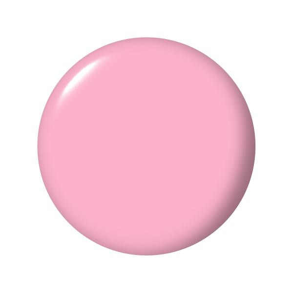 Suzi Shops & Island Hops