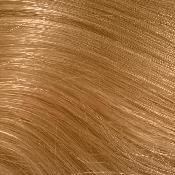 Tones 10G - Sangiovese at sunrise