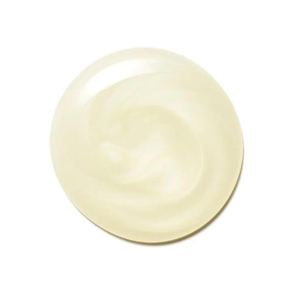 Volume - Shampoo 2.4oz
