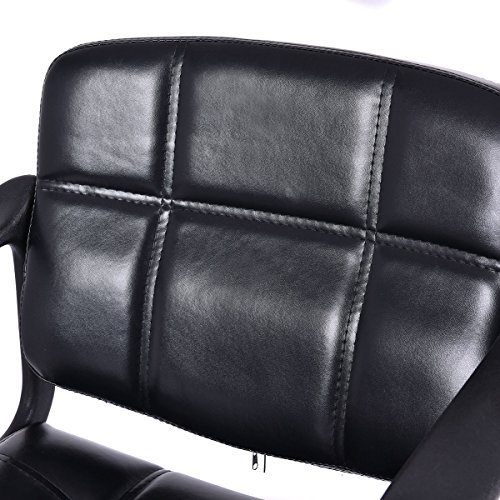 "AMBER Elite Pro Hairdressing Salon Chair"